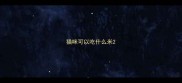 猫咪可以吃什么米
