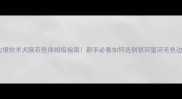 边境牧羊犬陨石色保姆级指南新手必看如何选到银河星河毛色边牧