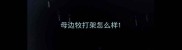 母边牧打架怎么样