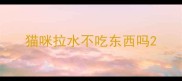 猫咪拉水不吃东西吗