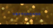 乌鲁木齐拉布拉多狗场
