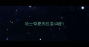 哈士奇夏天肛温40度
