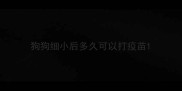狗狗细小后多久可以打疫苗