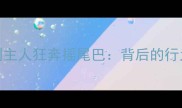 拉布拉多见到主人狂奔摇尾巴背后的行为与训练技巧