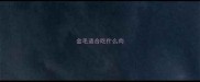 金毛适合吃什么肉
