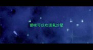 猫咪可以吃诺氟沙星