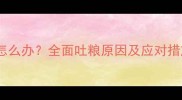 3个月幼犬频繁吐狗粮怎么办全面吐粮原因及应对措施附专业兽医建议