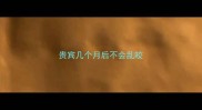 贵宾几个月后不会乱咬