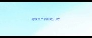 边牧生产后应吃几次
