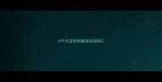 4个月边牧狗粮用泡软吗