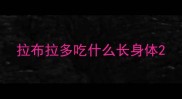 拉布拉多吃什么长身体