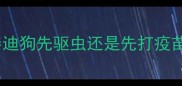 泰迪狗先驱虫还是先打疫苗