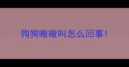 狗狗嗷嗷叫怎么回事