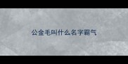 公金毛叫什么名字霸气