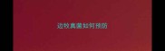 边牧真菌如何预防
