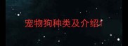 宠物狗种类及介绍