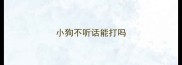 小狗不听话能打吗