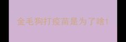 金毛狗打疫苗是为了啥