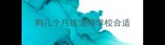 狗几个月送宠物学校合适
