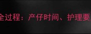 拉布拉多生育全过程产仔时间护理要点及常见误区
