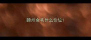 赣州金毛什么价位