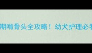 金毛换牙期啃骨头全攻略幼犬护理必看指南