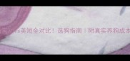 金毛英短vs美短全对比选狗指南附真实养狗成本清单