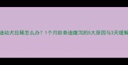 泰迪幼犬拉稀怎么办1个月龄泰迪腹泻的5大原因与3天缓解法
