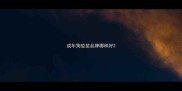 成年狗疫苗品牌哪种好