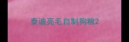 泰迪亮毛自制狗粮