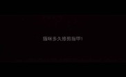 猫咪多久修剪指甲