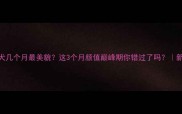 金毛幼犬几个月最美貌这3个月颜值巅峰期你错过了吗新手必看