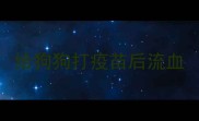 给狗狗打疫苗后流血