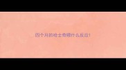 四个月的哈士奇喂什么反应