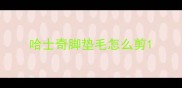 哈士奇脚垫毛怎么剪