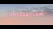 狗狗咬舌头是什么意思
