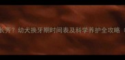 狗狗门牙何时长齐幼犬换牙期时间表及科学养护全攻略附护理误区