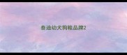 泰迪幼犬狗粮品牌