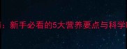 哈士奇幼犬喂养指南新手必看的5大营养要点与科学喂养方案附食谱