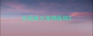 全国最大宠物医院