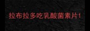 拉布拉多吃乳酸菌素片