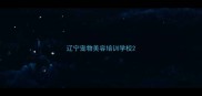 辽宁宠物美容培训学校