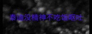 泰迪没精神不吃饭呕吐