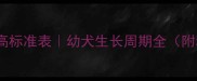 狗狗不同月龄身高标准表幼犬生长周期全附科学喂养指南