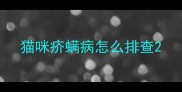 猫咪疥螨病怎么排查