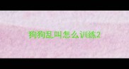 狗狗乱叫怎么训练