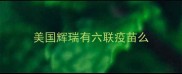 美国辉瑞有六联疫苗么