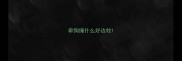 牵狗绳什么好边牧