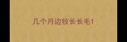 几个月边牧长长毛