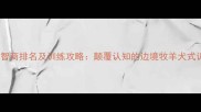哈士奇智商排名及训练攻略颠覆认知的边境牧羊犬式训练法